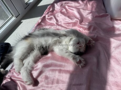 Valeriekingsley Kostenlose OnlyFans-Inhalte