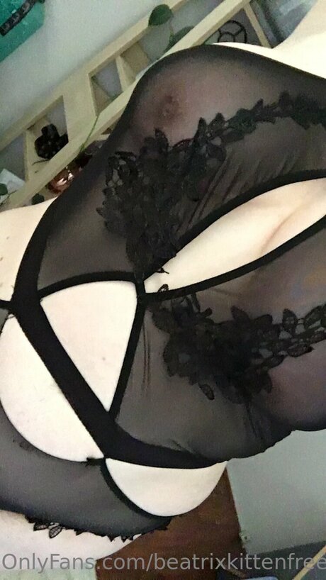 Beatrixkittenfree OnlyFans Sex