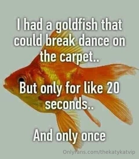 Thekatykatvip OnlyFans Nackt Content