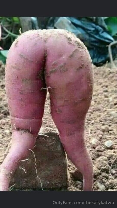 Thekatykatvip OnlyFans Nackt Leak