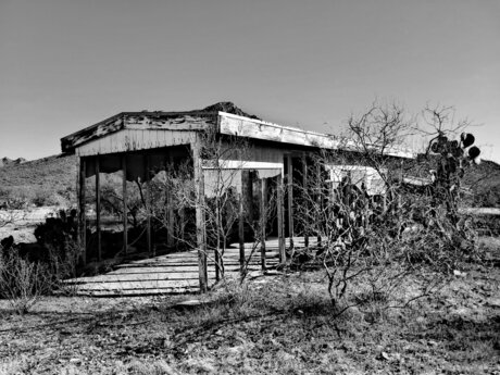 Cissaldansinferno OnlyFans-Creator