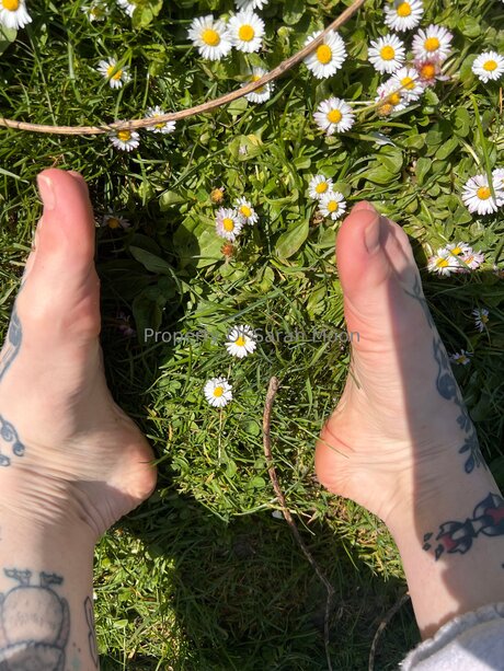 Sarahmoonsg Nacktbilder von OnlyFans geleakt