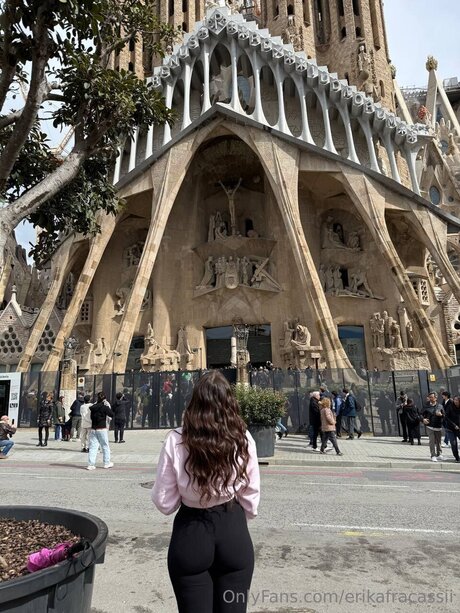 Erikafracassii OnlyFans-Pornos