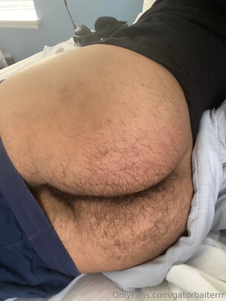 Gatorbaiterrr OnlyFans explizite Inhalte