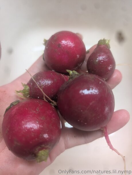 Natures Lil Nymp OnlyFans Sex