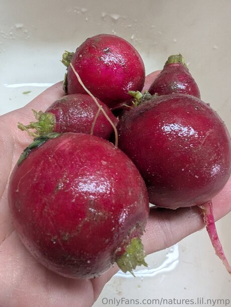 Natures Lil Nymp OnlyFans Mega