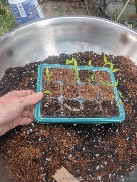 Natures Lil Nymp Leaked OnlyFans Nacktbilder