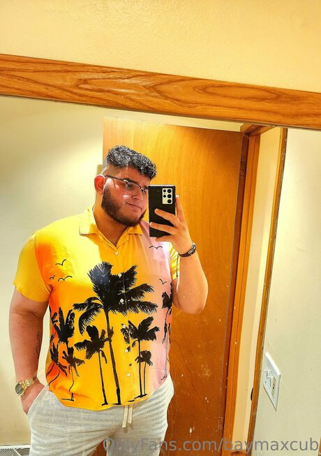 Baymaxcub OnlyFans