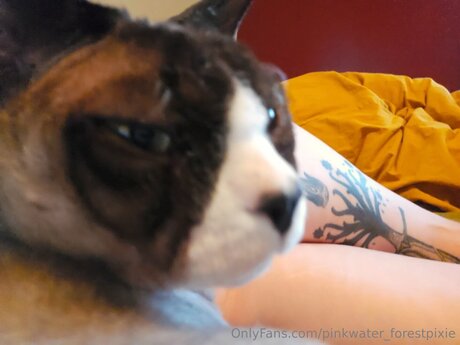 Pinkwater Forestpixie OnlyFans