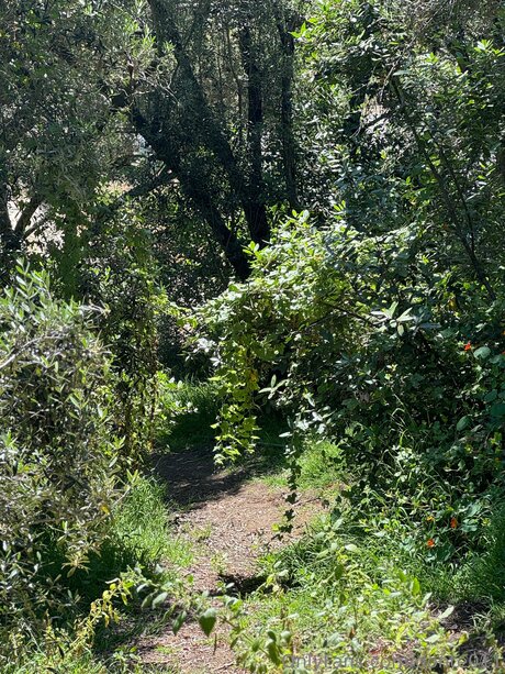 Donte011 NurlyFans-Pornos