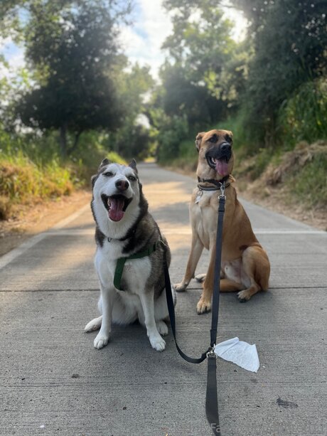 Donte011 Neues OnlyFans