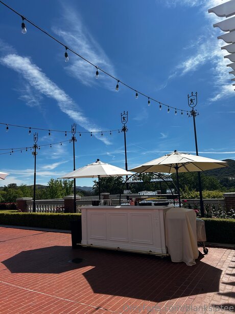 Blankslatee OnlyFans nackte Brüste