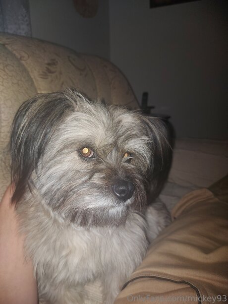 Mickey93 OnlyFans Strip