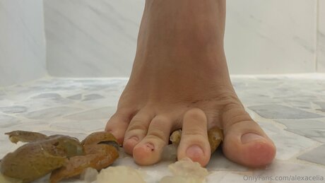 Alexacelia OnlyFans geleakte Brüste