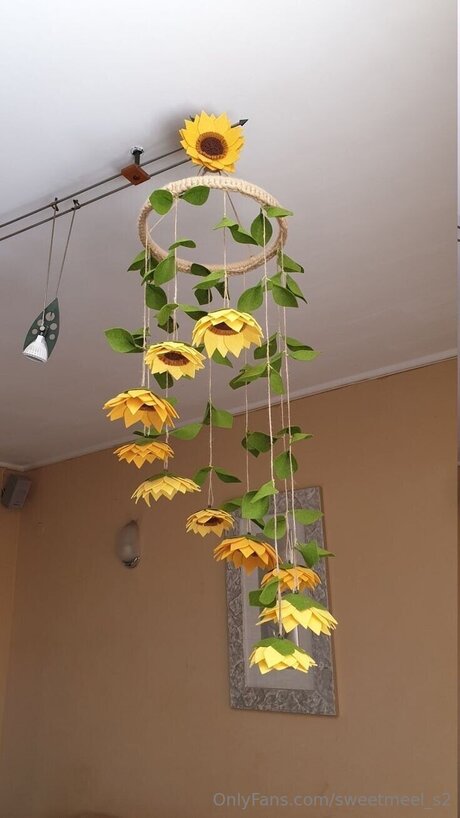 Sweetmeel S2 OnlyFans-Pornoleak