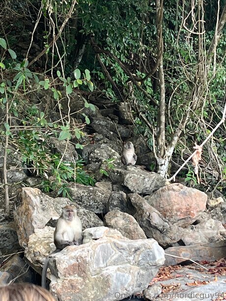 Nordicguy94 OnlyFans