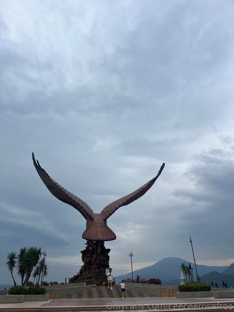 Ceeceerosefree Sexy OnlyFans