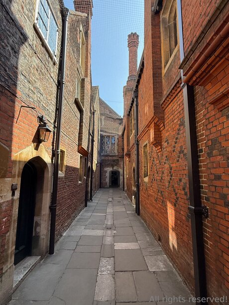 Travelsunshine Nacktbilder OnlyFans Geleakt