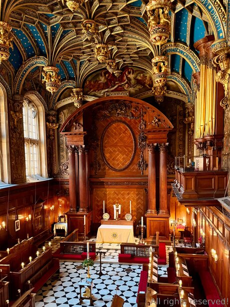 Travelsunshine Nacktbilder von OnlyFans