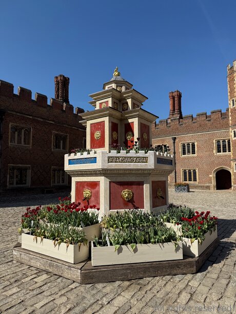 Travelsunshine OnlyFans Porn Nackt