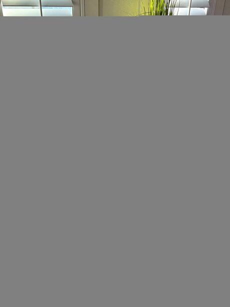 Suburbanbrunettehubs Leaked OnlyFans Sex