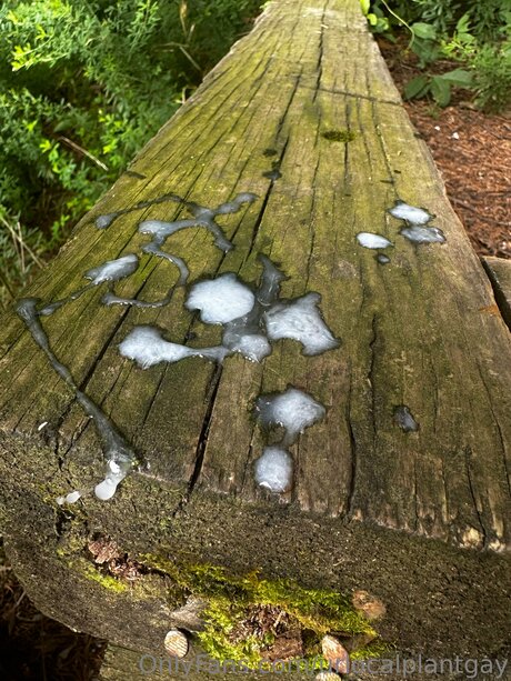 Urlocalplantgay Leaked Porn OnlyFans