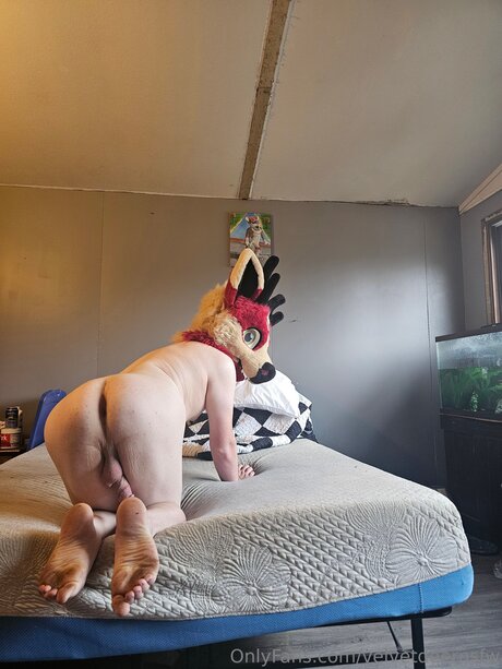 Velvetdeernsfw Nacktbilder geleakt OnlyFans Porn geleakt