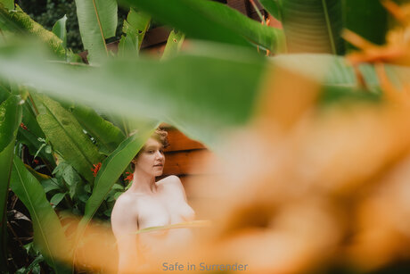 Safeinsurrender Profilbild