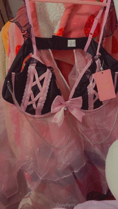 Xxwetpawzzx OnlyFans Fotos