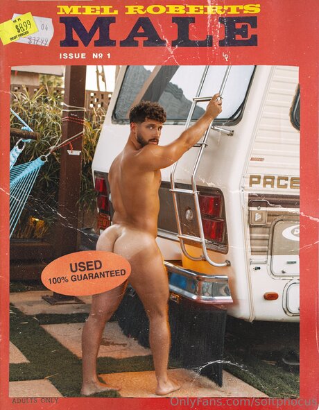 Softphocus OnlyFans Sex geleakt