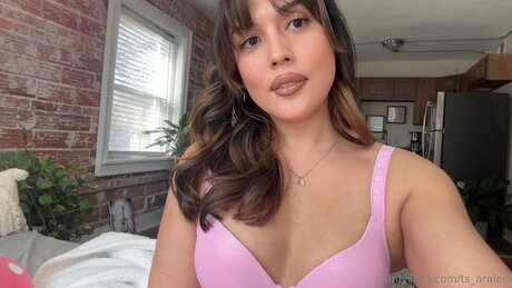 Ts Aralee OnlyFans Bilder