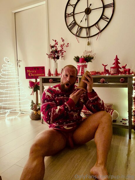 Pup Hulky OnlyFans-Komplettinhalte