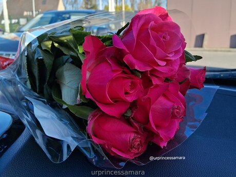 Urprincessamara OnlyFans Leaks Sex