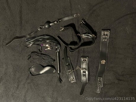 U423114135 OnlyFans-Archiv