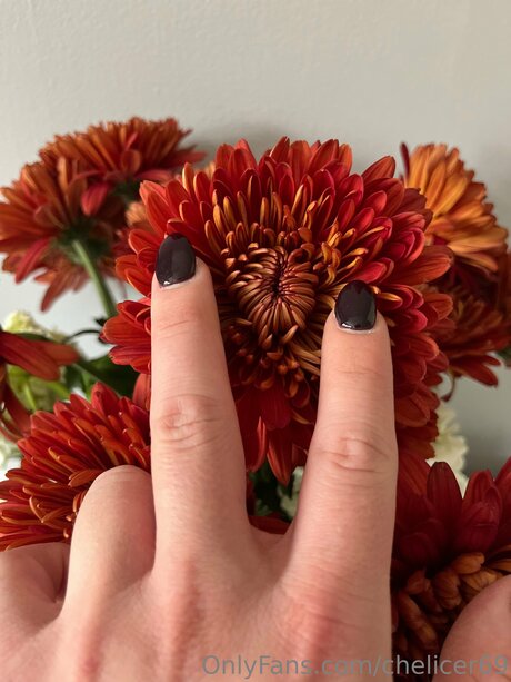 Chelicer69 OnlyFans Nacktbilder geleakt