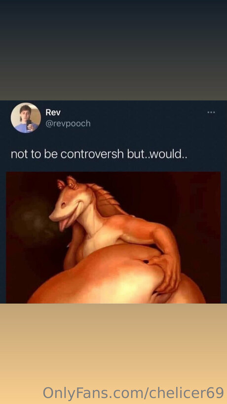 Chelicer69 OnlyFans Inhaltstyp
