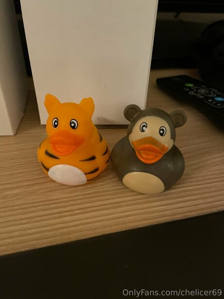 Chelicer69 OnlyFans Pornografie geleakt