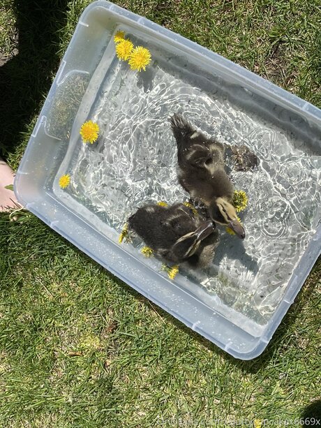 Xsluttycupcakex6669x Nackt Leaks OnlyFans