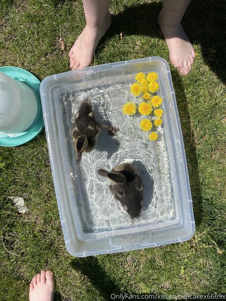 Xsluttycupcakex6669x OnlyFans Inhalte