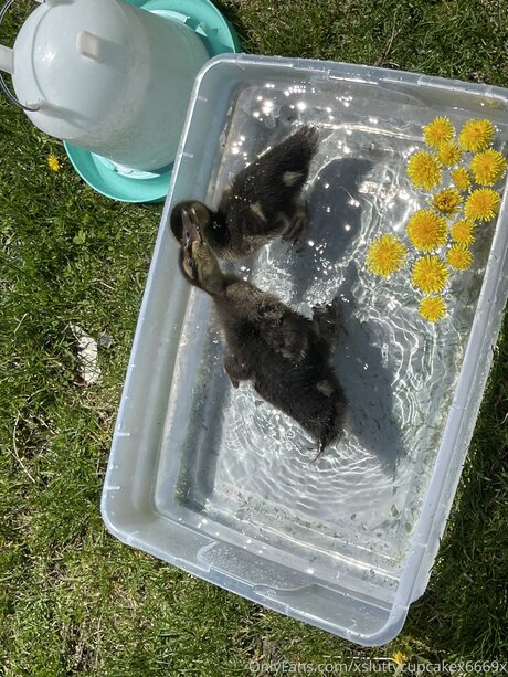 Xsluttycupcakex6669x Leaked OnlyFans Fotos