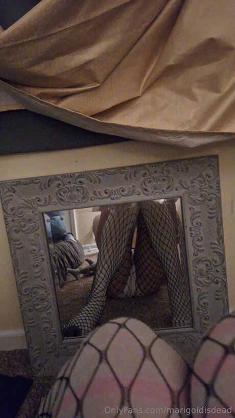Marigoldisdead Nacktbilder von OnlyFans
