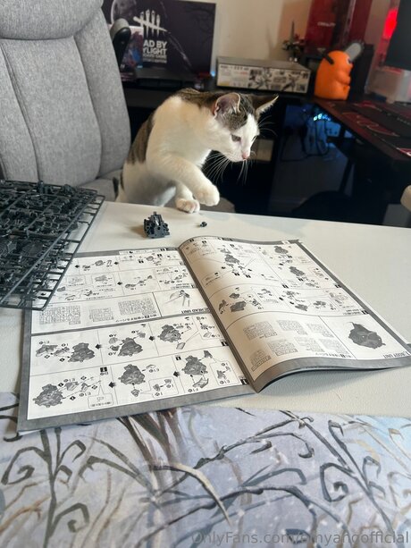 Emyangofficial OnlyFans Dirtyship geleakt