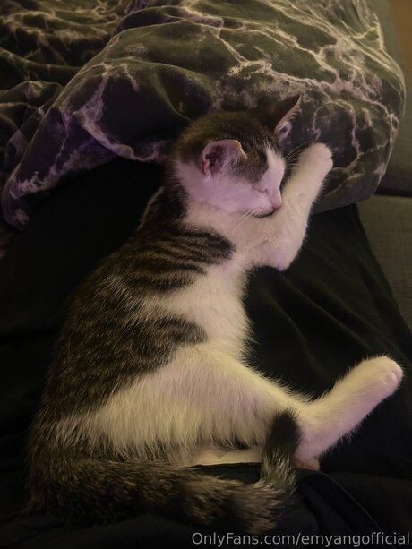 Emyangofficial Nacktpornos von OnlyFans geleakt