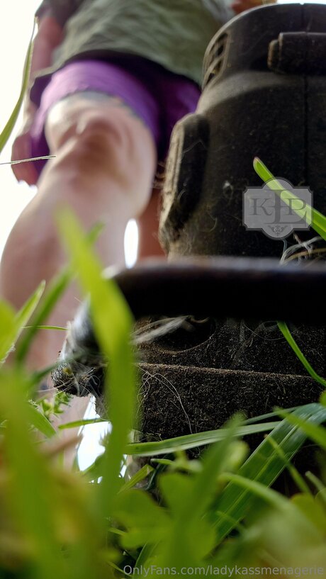 Ladykassmenagerie Porn OnlyFans Leaks