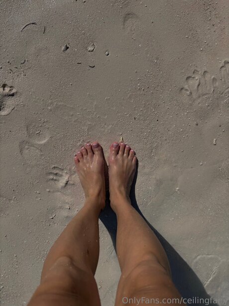 Ceilingfairy OnlyFans