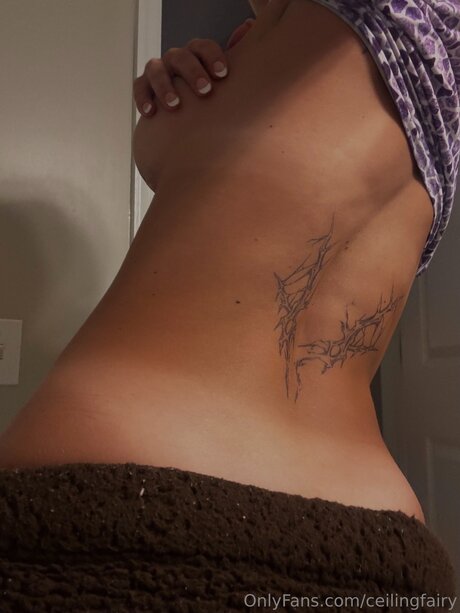 Ceilingfairy OnlyFans