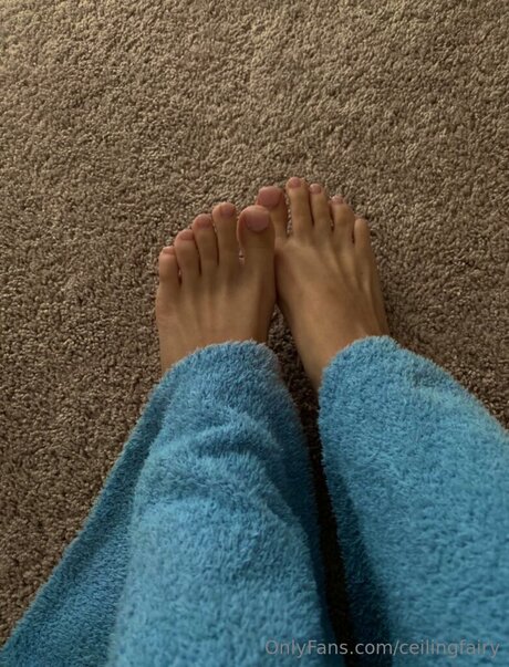 Ceilingfairy OnlyFans Bilder
