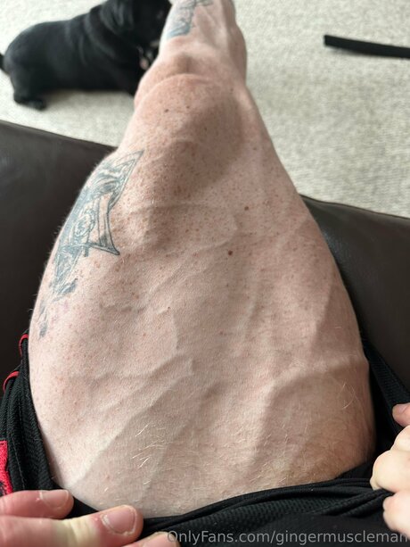 Gingermuscleman OnlyFans Bilder