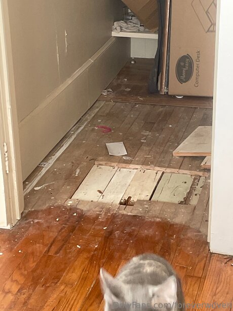 Foreverwoven Leaked OnlyFans Fotos