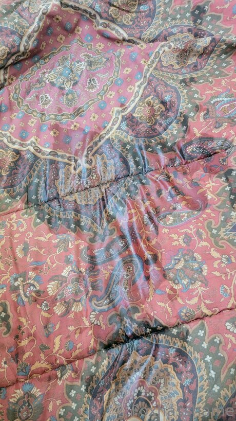 Foxhasshame OnlyFans Leaks